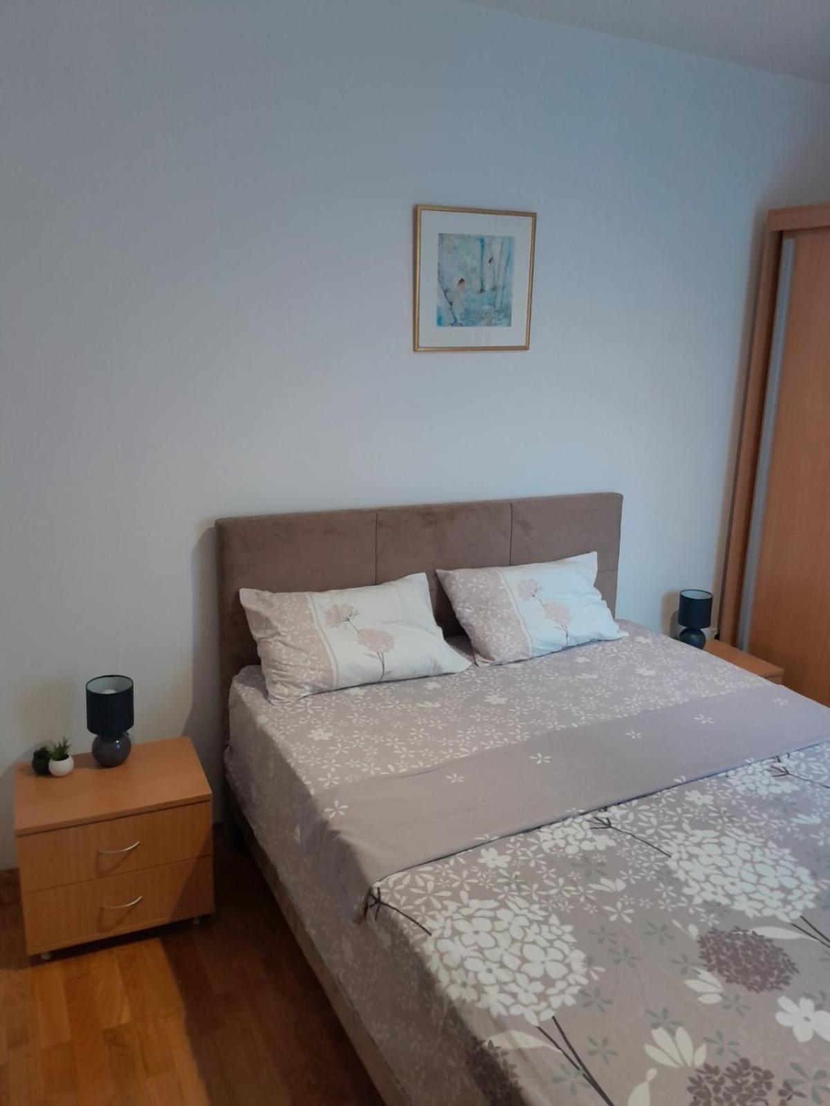 Apartman Klara Petrovac Buitenkant foto